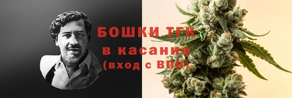 стафф Волосово