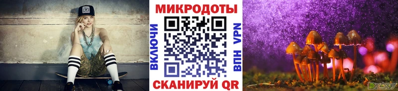 omg ссылки  Камышлов  Псилоцибиновые грибы Psilocybine cubensis 